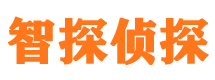 尖扎侦探公司